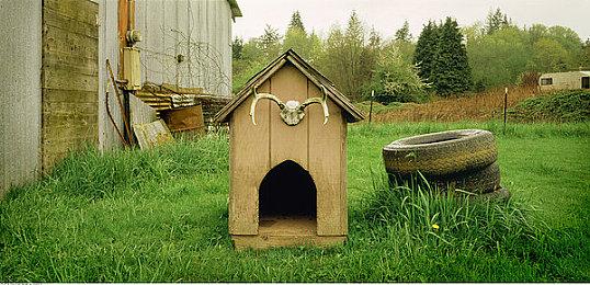 TGA 2024：《索尼克赛车CrossWorlds》公布先导预告